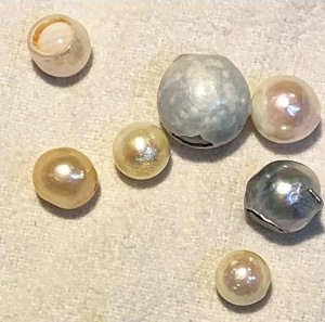 真珠の寿命は海のものは70〜100年、淡水真珠は30年です
